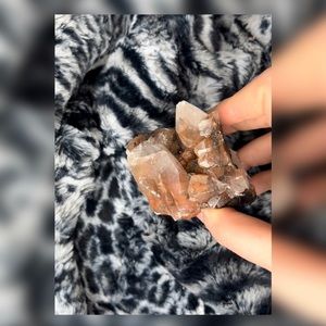 Red Ghost Phantom Specimen 🖤